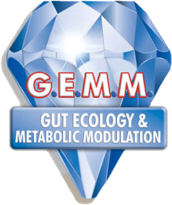 gemm-logo