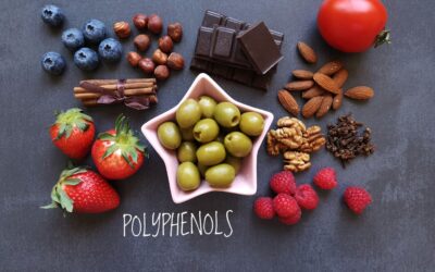 Unveiling Polyphenols: Nature’s Shield for Health and Vitality