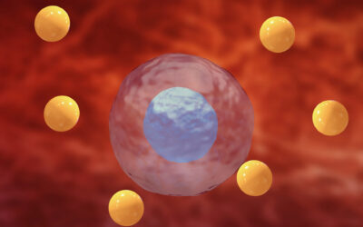Understanding NRF2: Clinical Relevance in Oxidative Stress, Inflammation, and Chronic Disease