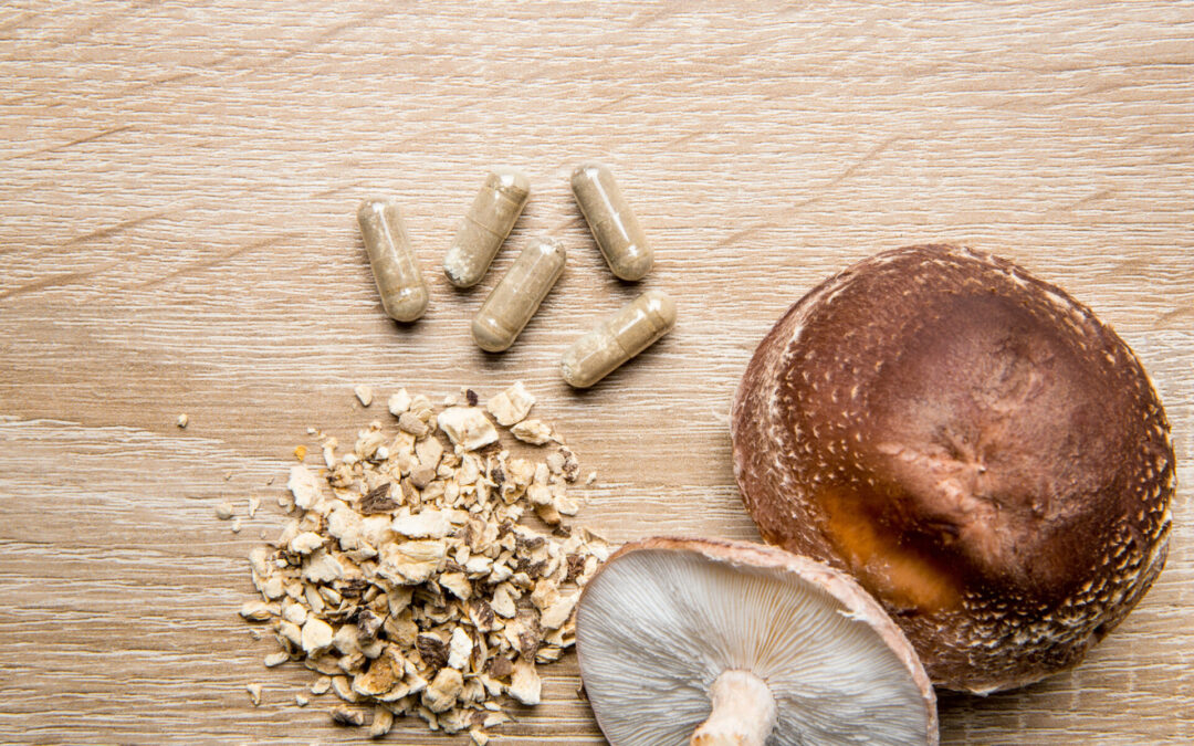 AHCC and Immunity: Evidence-Based Insights into Comprehensive Immune Support