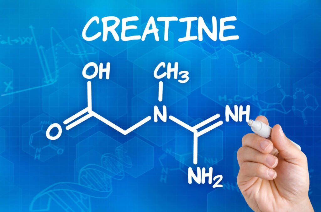 Creatine and Cognition: Is There Benefit for Alzheimer’s Disease?