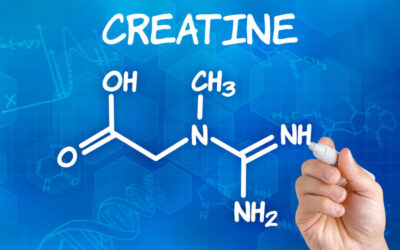 Creatine and Cognition: Is There Benefit for Alzheimer’s Disease?