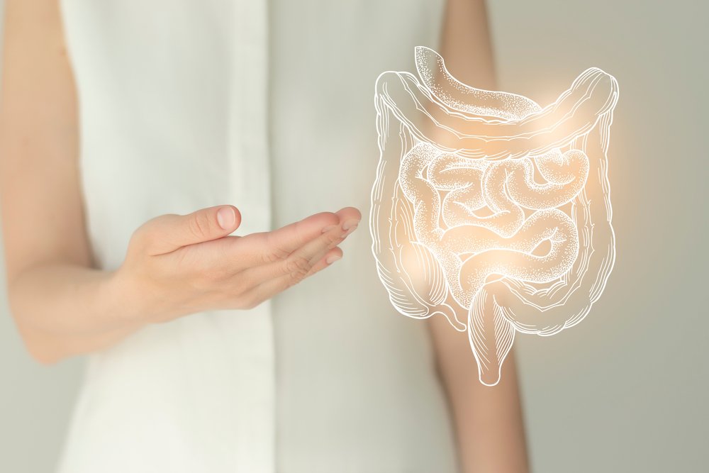 Probiotics vs. Prebiotics vs. Postbiotics: Understanding the Difference